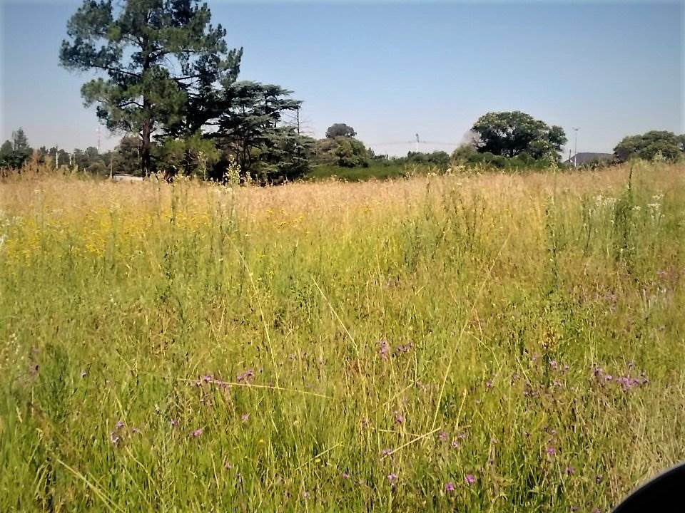 2900 m² Land available in Meyerton photo number 5