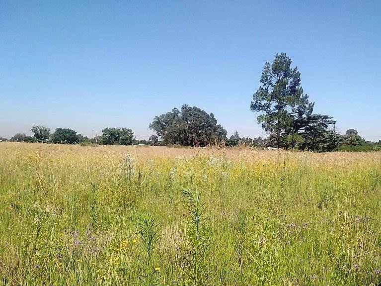 2900 m² Land available in Meyerton photo number 2