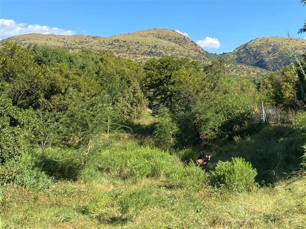 1066 m² Land available in Seasons Lifestyle Estate