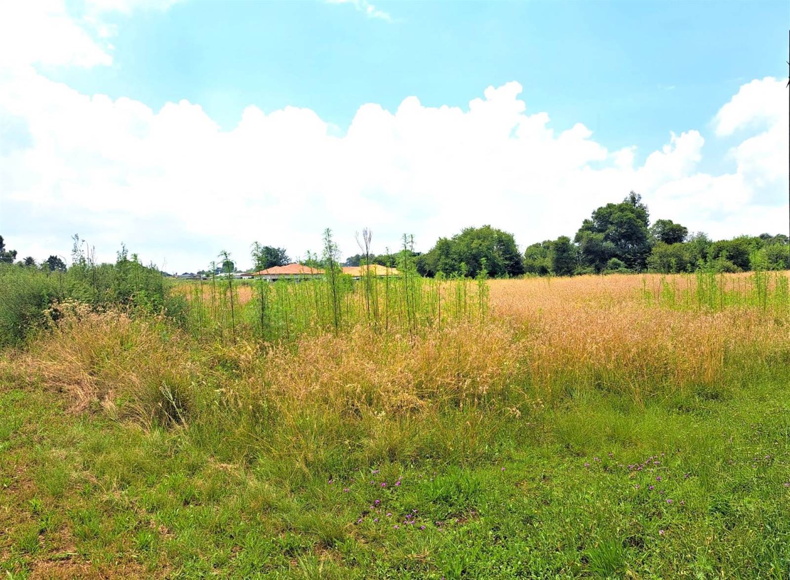 1.6 ha Land available in Meyerton photo number 1
