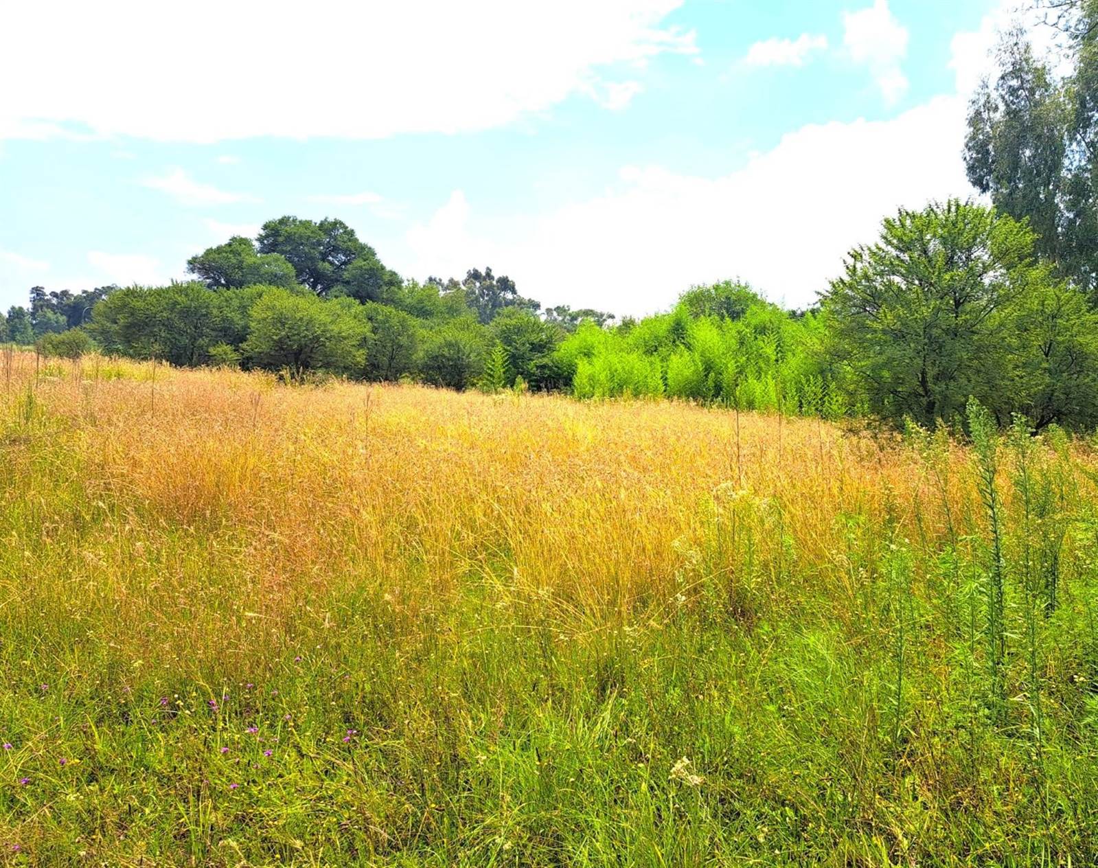 1.6 ha Land available in Meyerton photo number 6