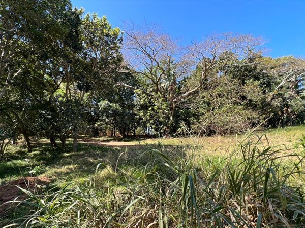 1 040 m² Land