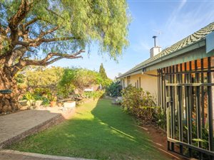 4 Bed House in Constantia Kloof