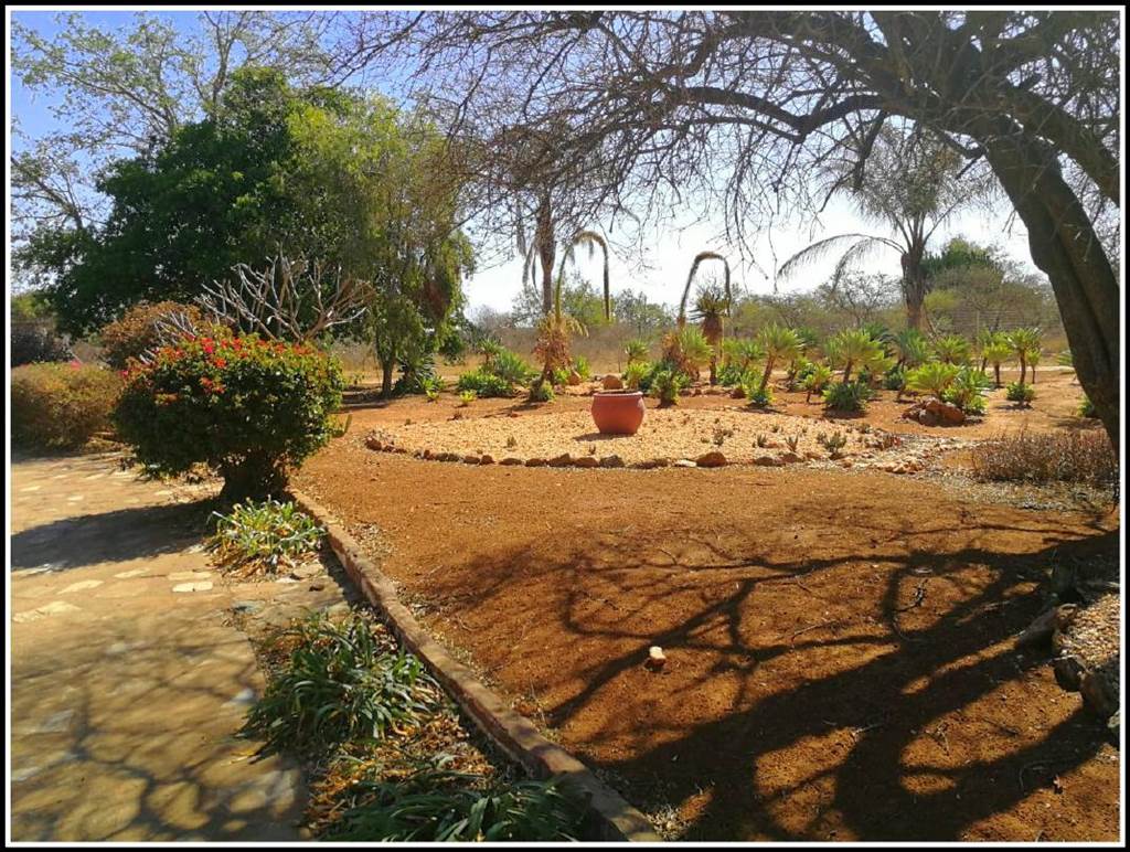 8 ha Smallholding in Polokwane Central photo number 3