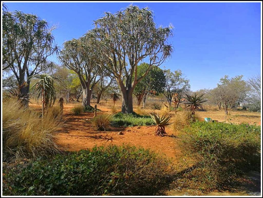 8 ha Smallholding in Polokwane Central photo number 4