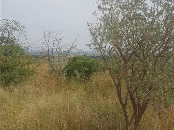 1162 m² Land available in Seasons Lifestyle Estate