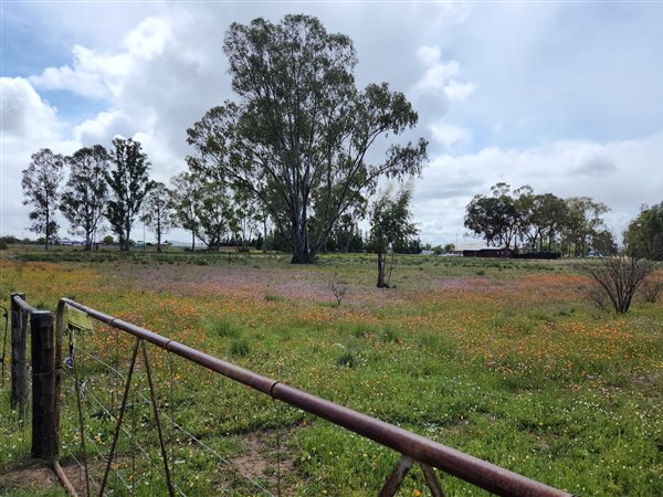 1994 m² Land available in Nieuwoudtville