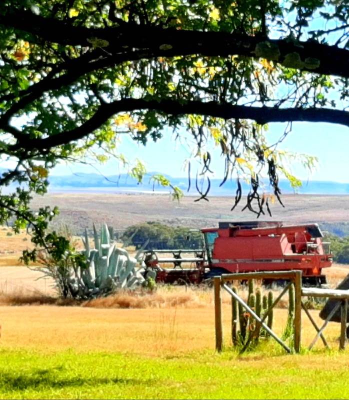 Farm in Fouriesburg photo number 12