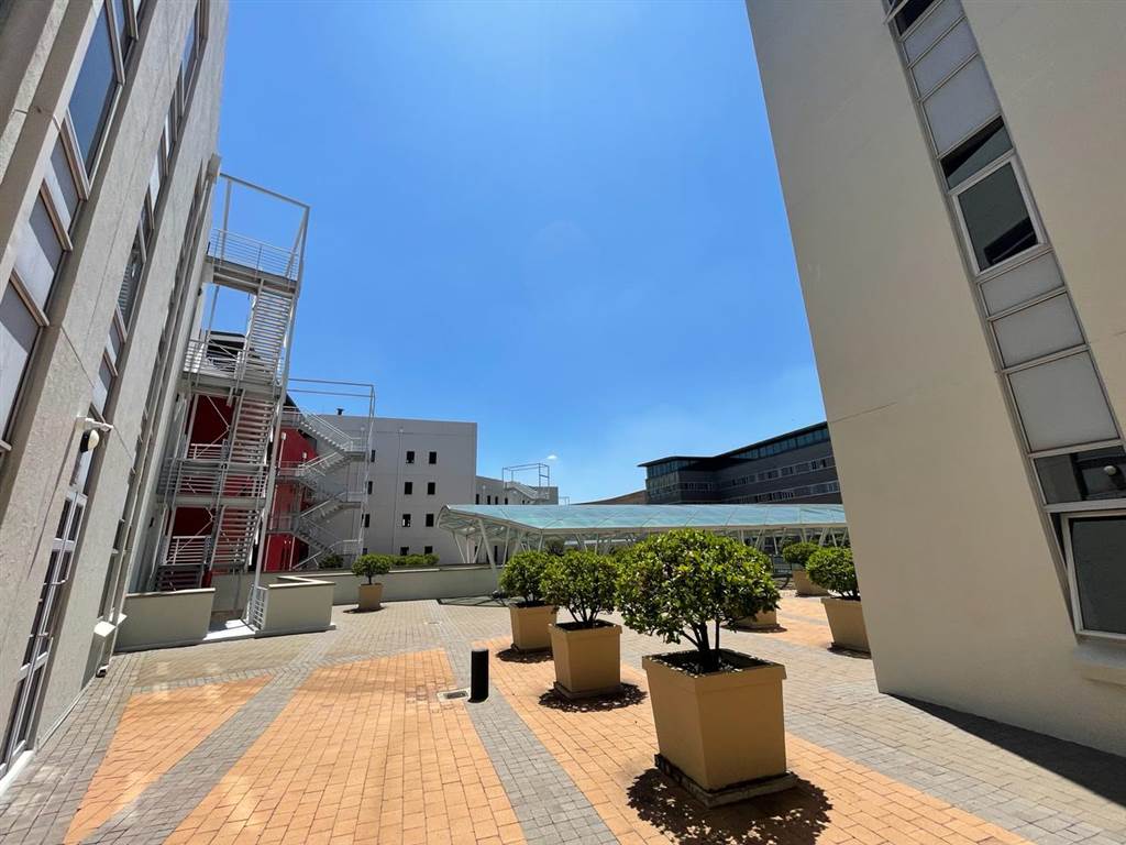 251  m² Commercial space in Melrose Arch photo number 6