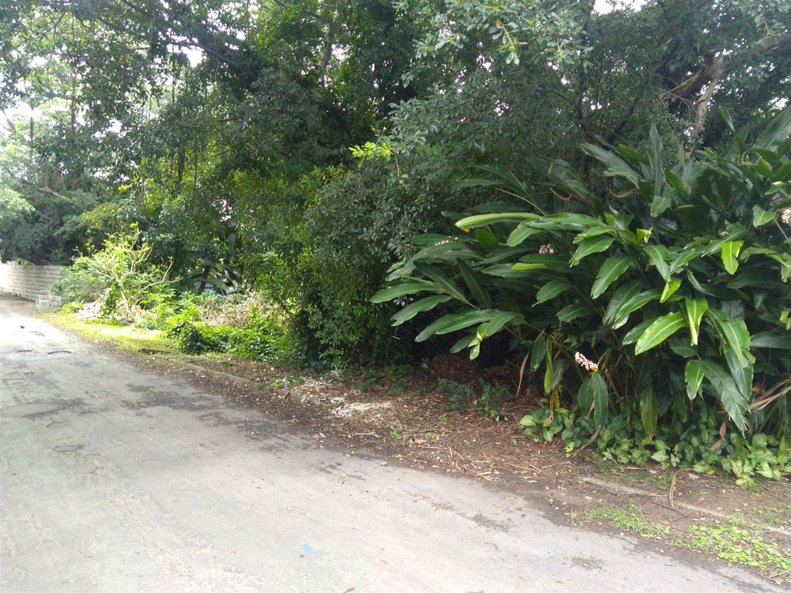 1758 m² Land available in Margate photo number 6