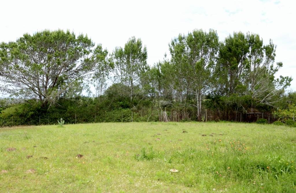 1375 m² Land available in Bathurst and Surrounds photo number 6