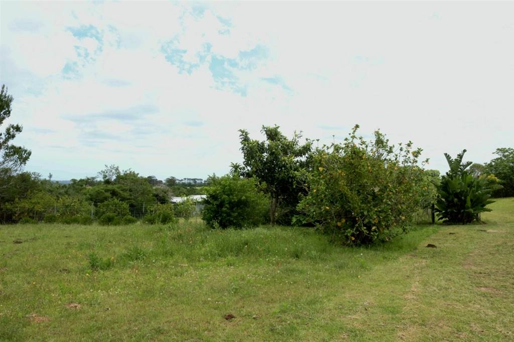1375 m² Land available in Bathurst and Surrounds photo number 7