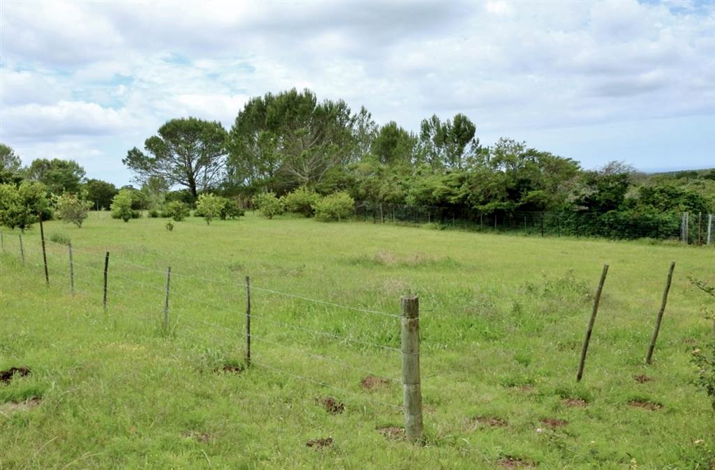 1375 m² Land available in Bathurst and Surrounds photo number 11