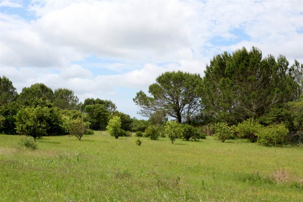 1375 m² Land available in Bathurst and Surrounds photo number 9