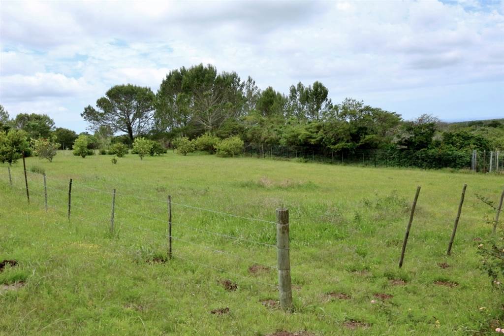 1375 m² Land available in Bathurst and Surrounds photo number 10