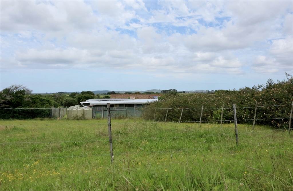 1375 m² Land available in Bathurst and Surrounds photo number 5