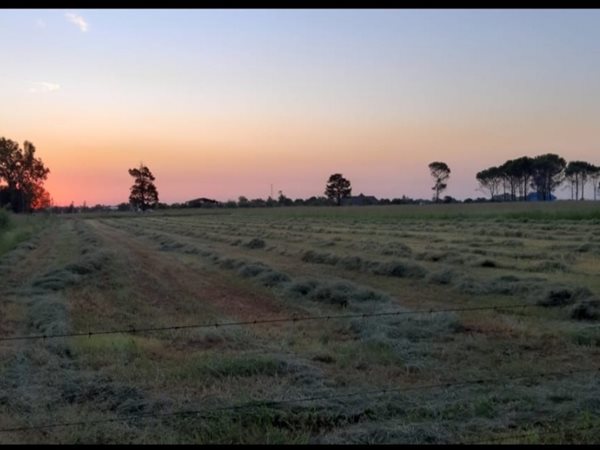 8.6 ha Farm 8.6 ha Farm