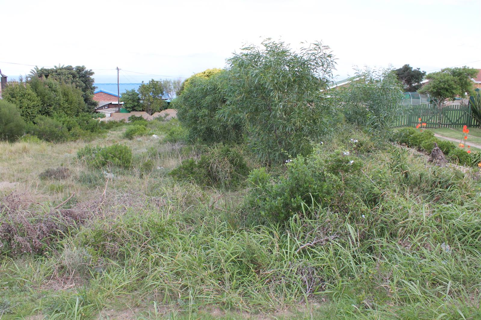 880 m² Land available in Dana Bay photo number 2