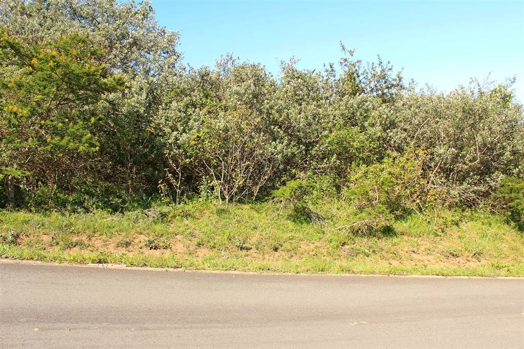 862 m² Land available in Cintsa photo number 8