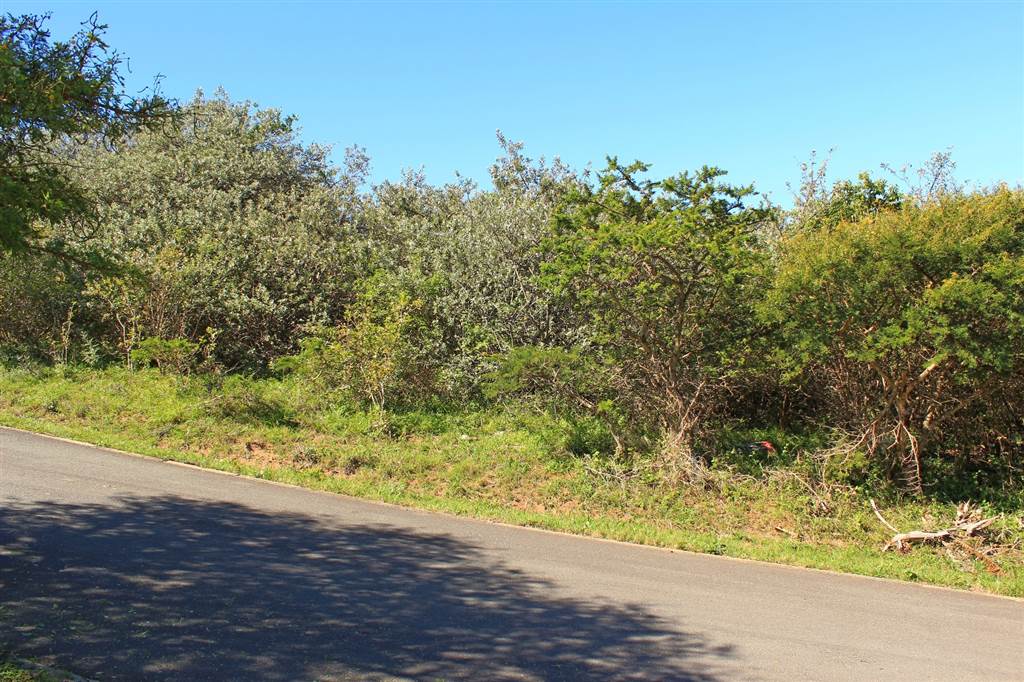 862 m² Land available in Cintsa photo number 5