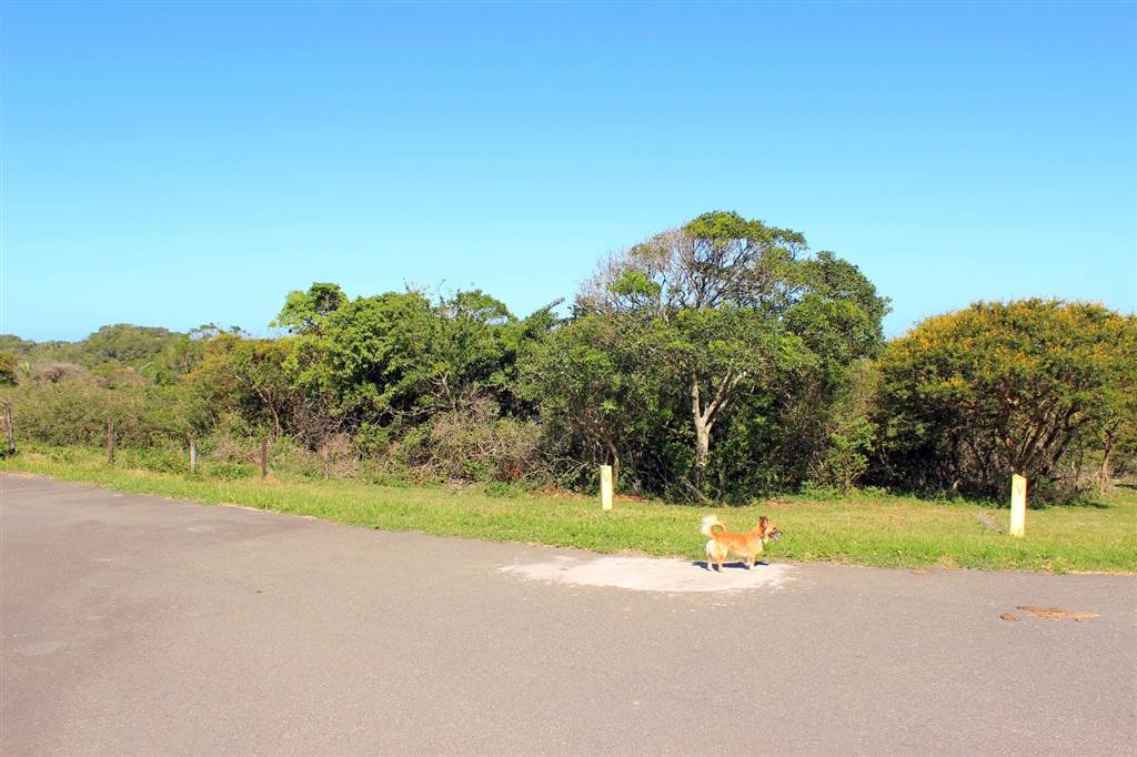 862 m² Land available in Cintsa photo number 13
