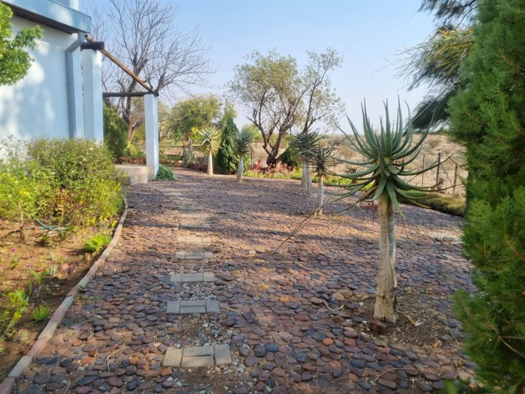 6 m² Farm in Upington photo number 30