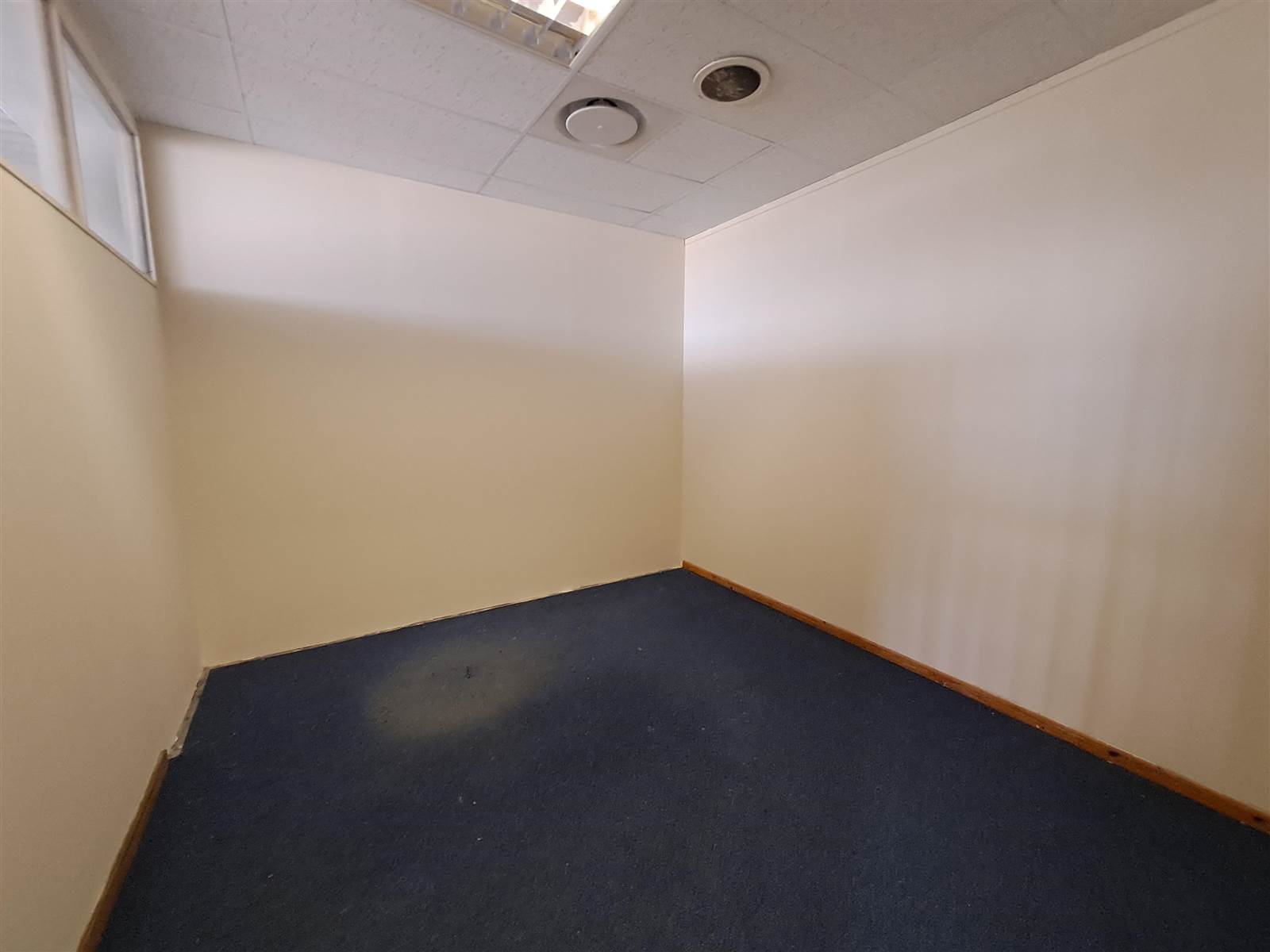 950  m² Commercial space in Maitland photo number 20