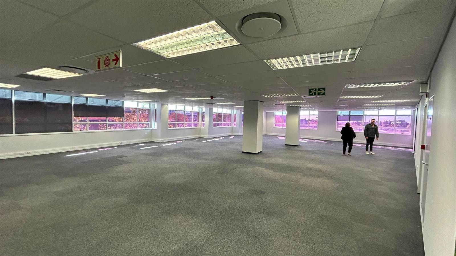 888  m² Office Space in Claremont photo number 4