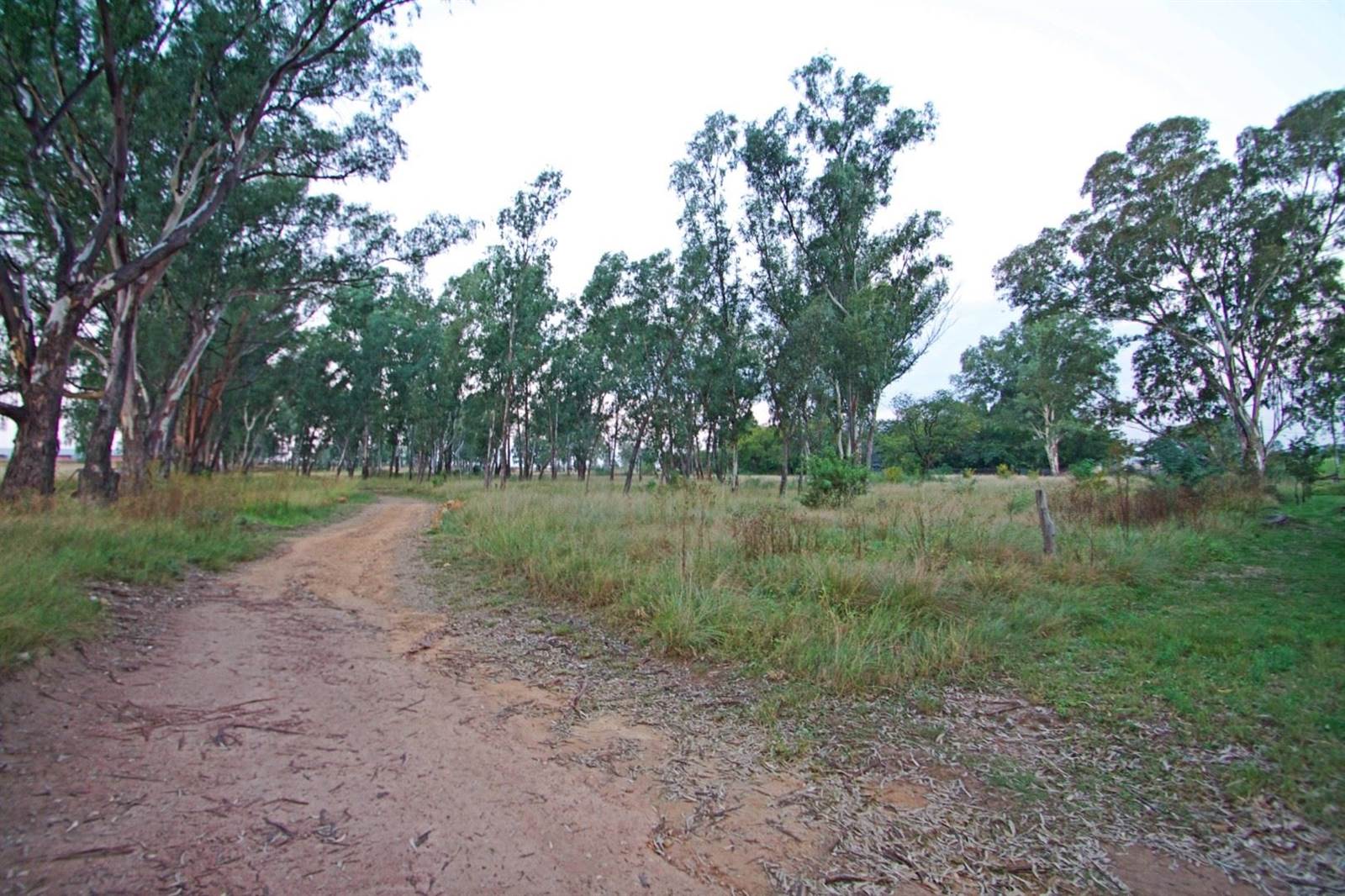22.6 ha Smallholding in Lanseria and surrounds photo number 5
