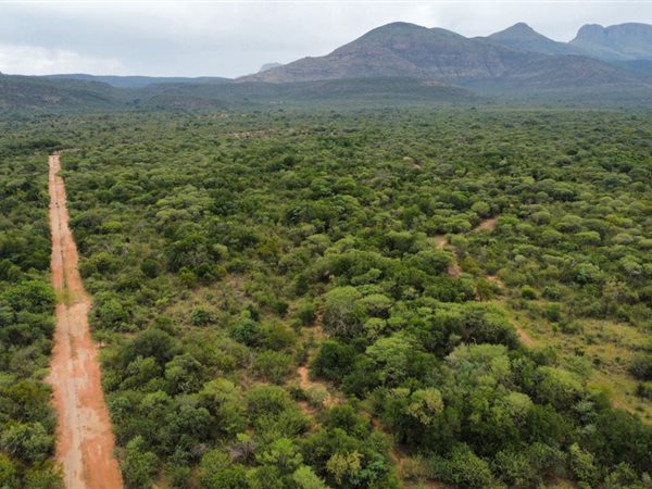 5.5 ha Land available in Thabazimbi