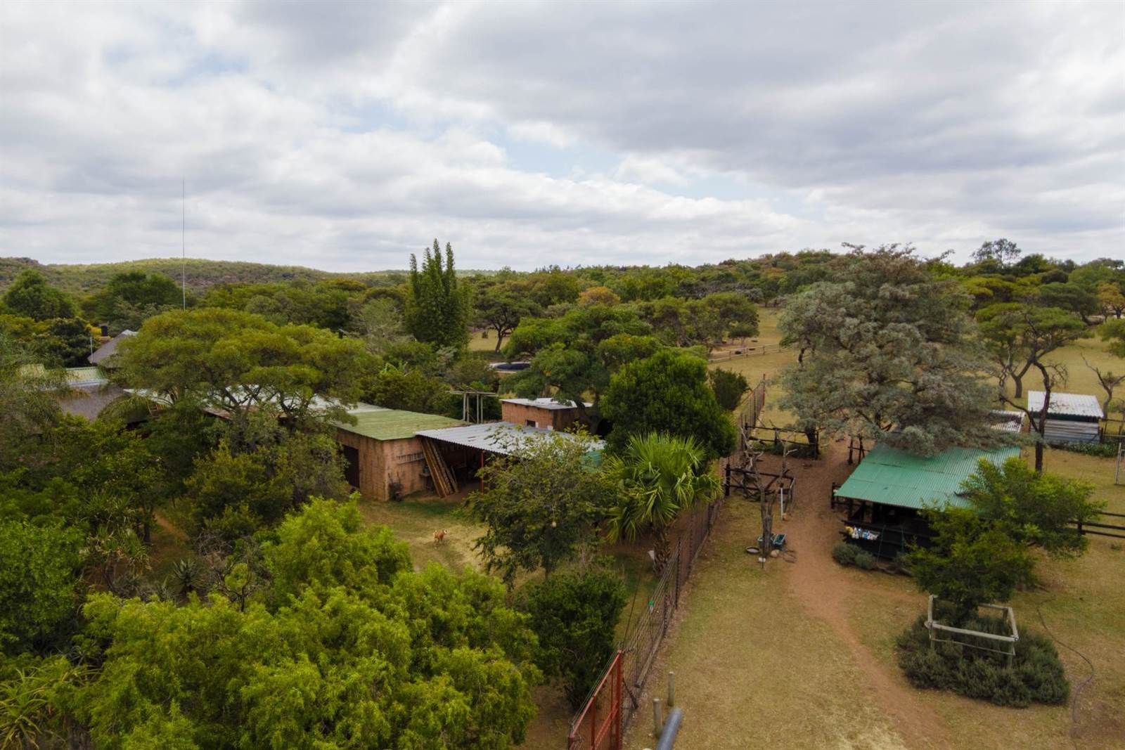 33 ha Farm in Cullinan and Surrounds photo number 5