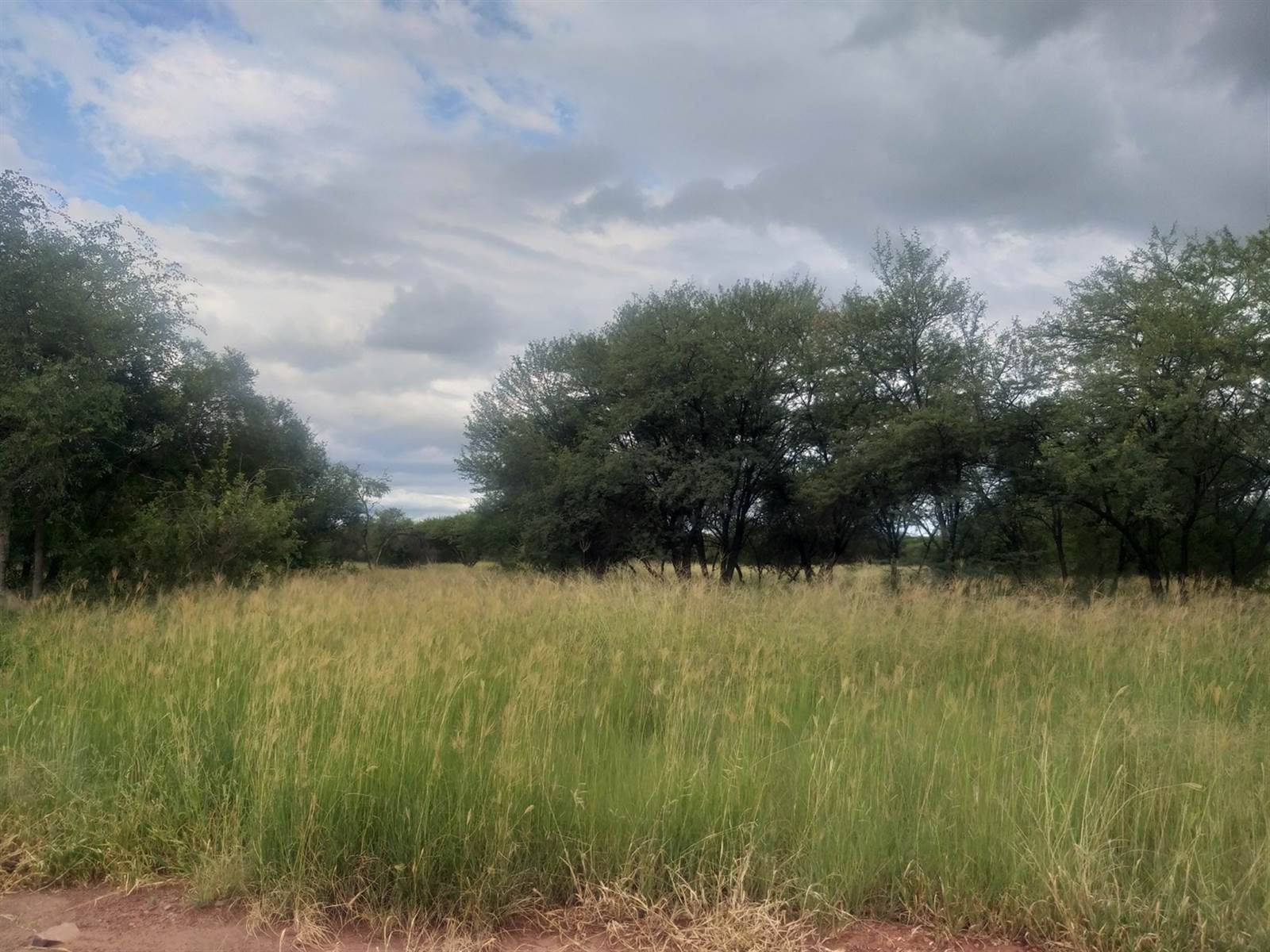 880 m² Land available in Bela-Bela (Warmbaths) photo number 5