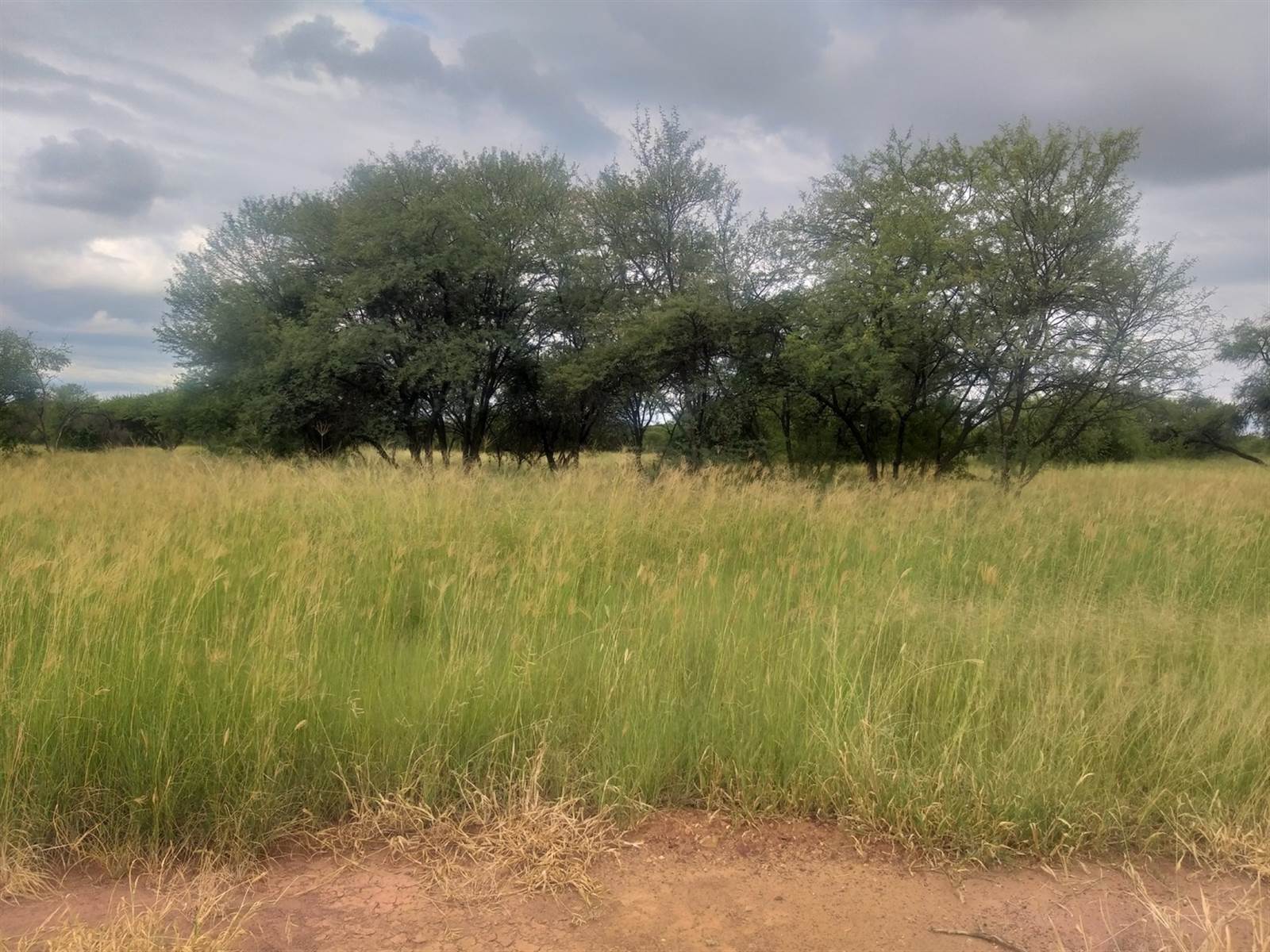 880 m² Land available in Bela-Bela (Warmbaths) photo number 6