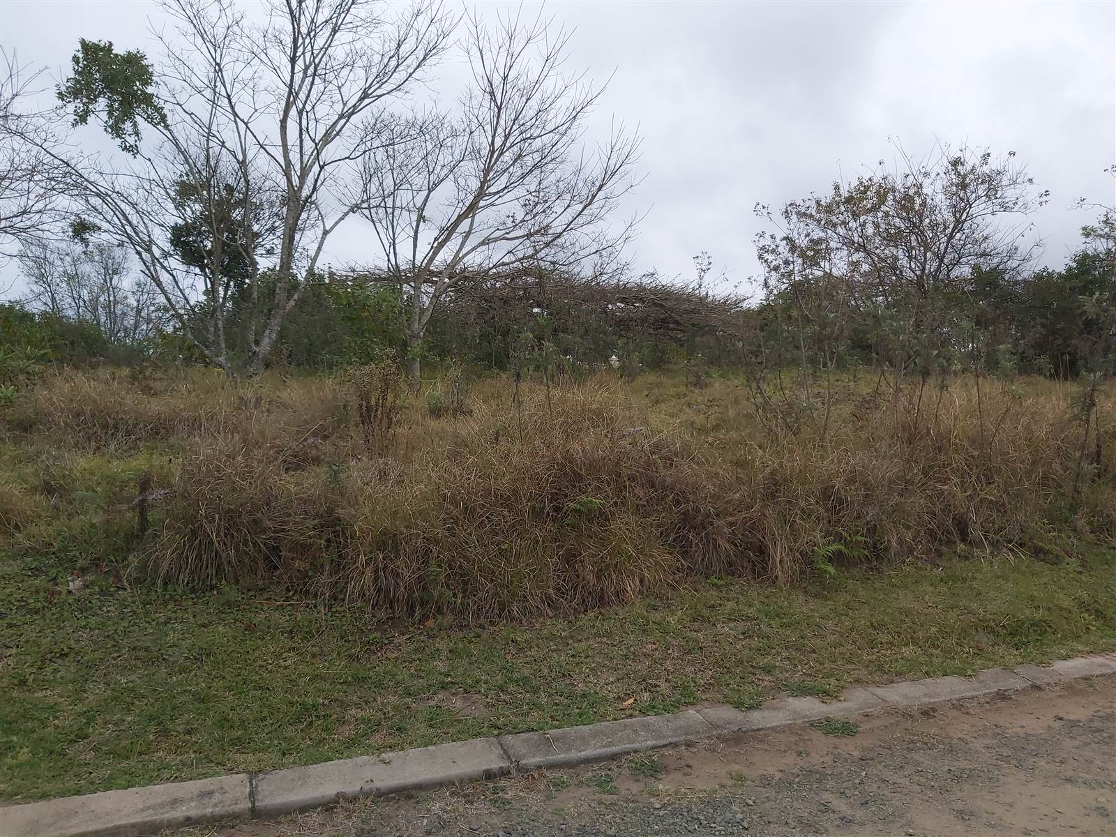 839 m² Land available in Eshowe photo number 6
