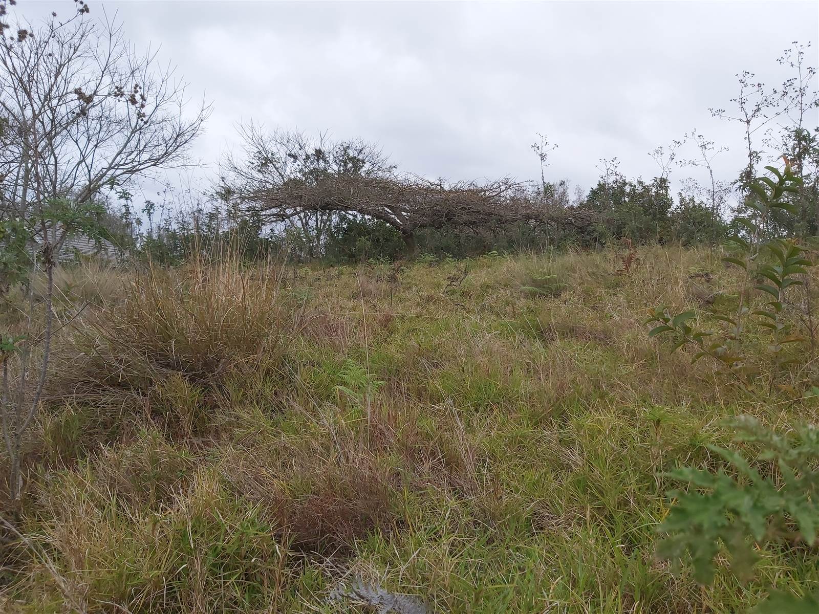 839 m² Land available in Eshowe photo number 7