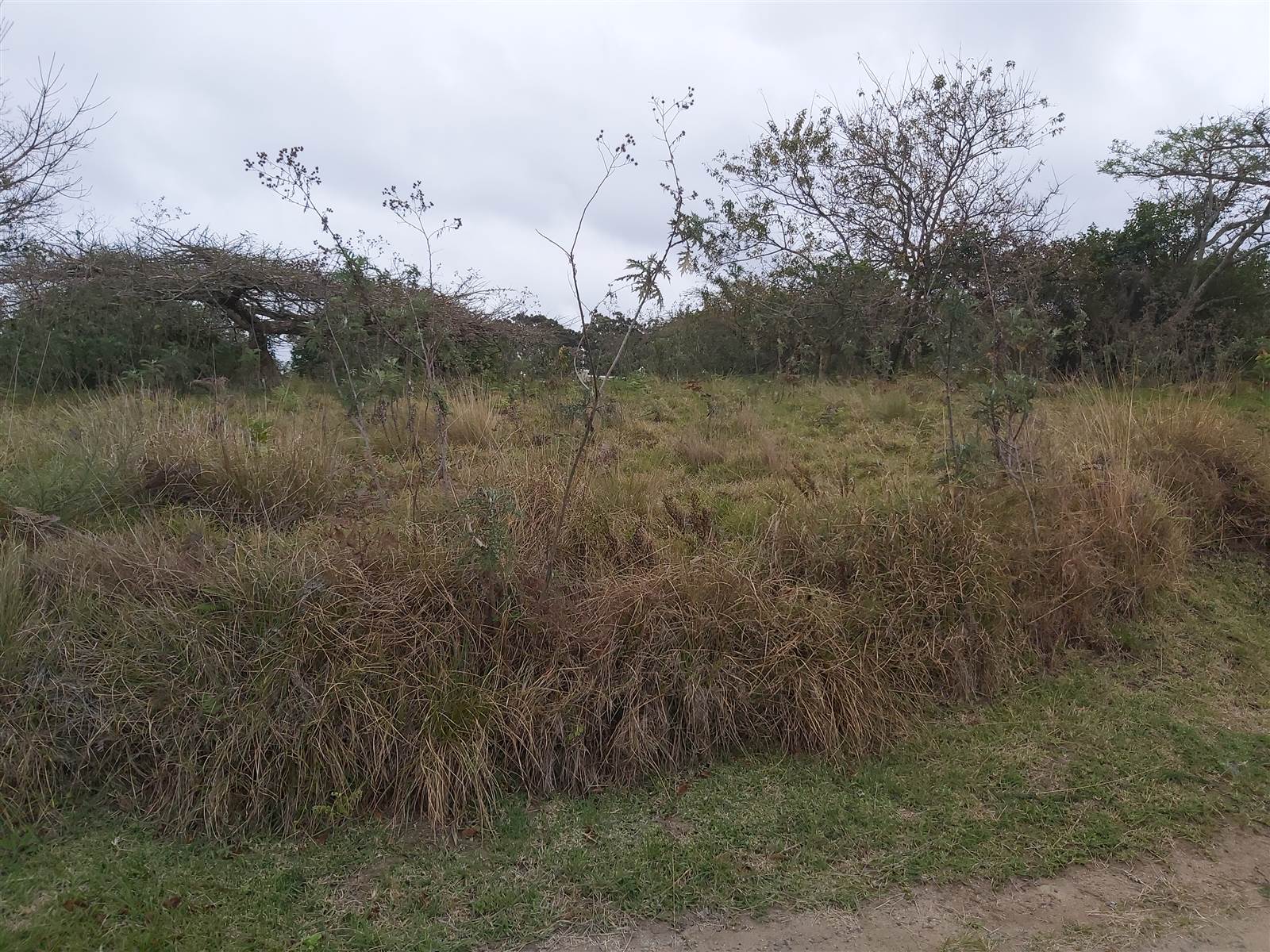839 m² Land available in Eshowe photo number 5
