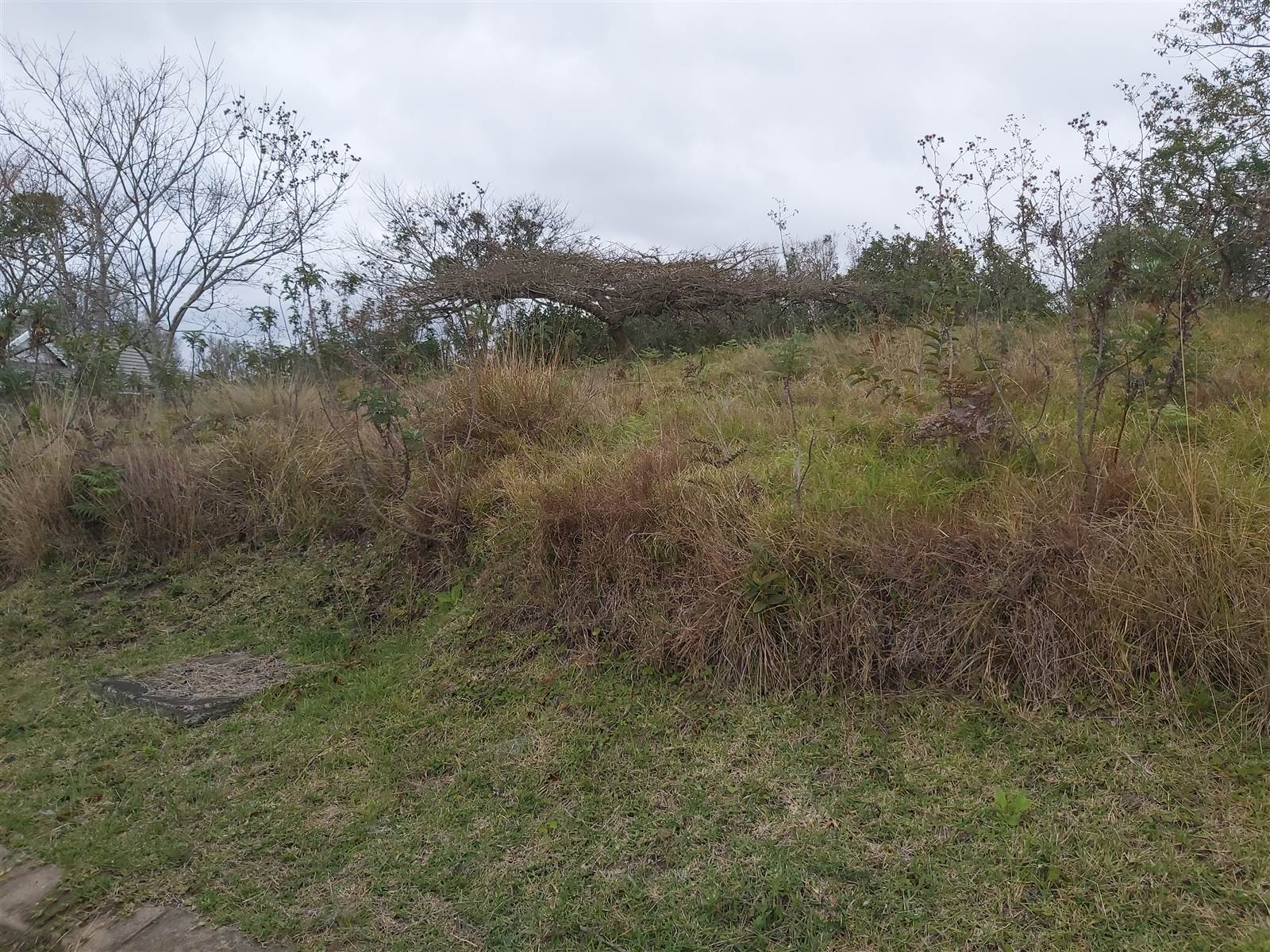 839 m² Land available in Eshowe photo number 8