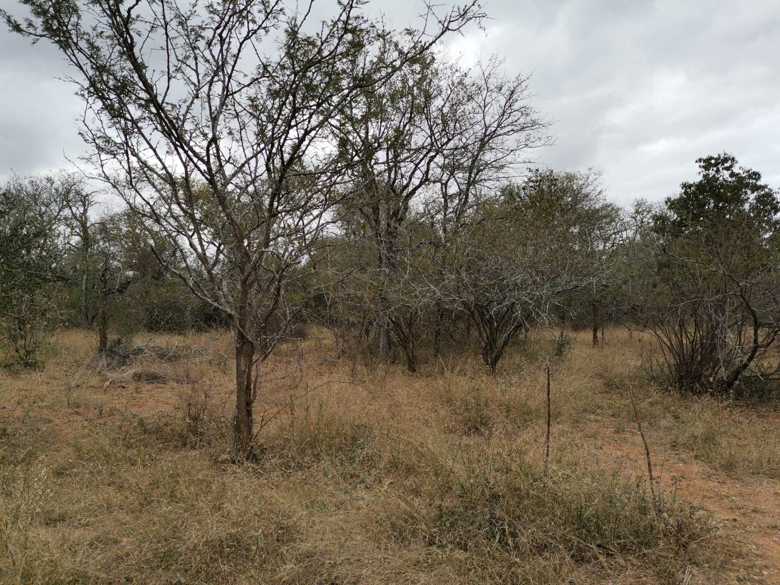 9621 m² Land available in Moditlo Nature Reserve photo number 5