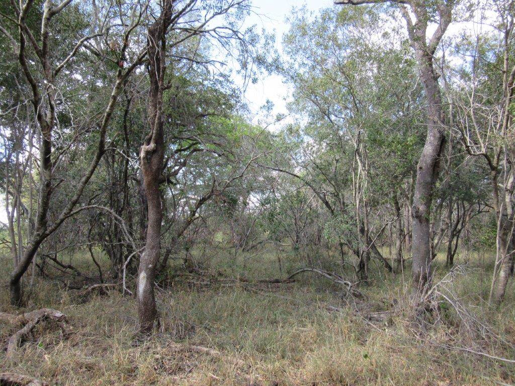 9621 m² Land available in Moditlo Nature Reserve photo number 9