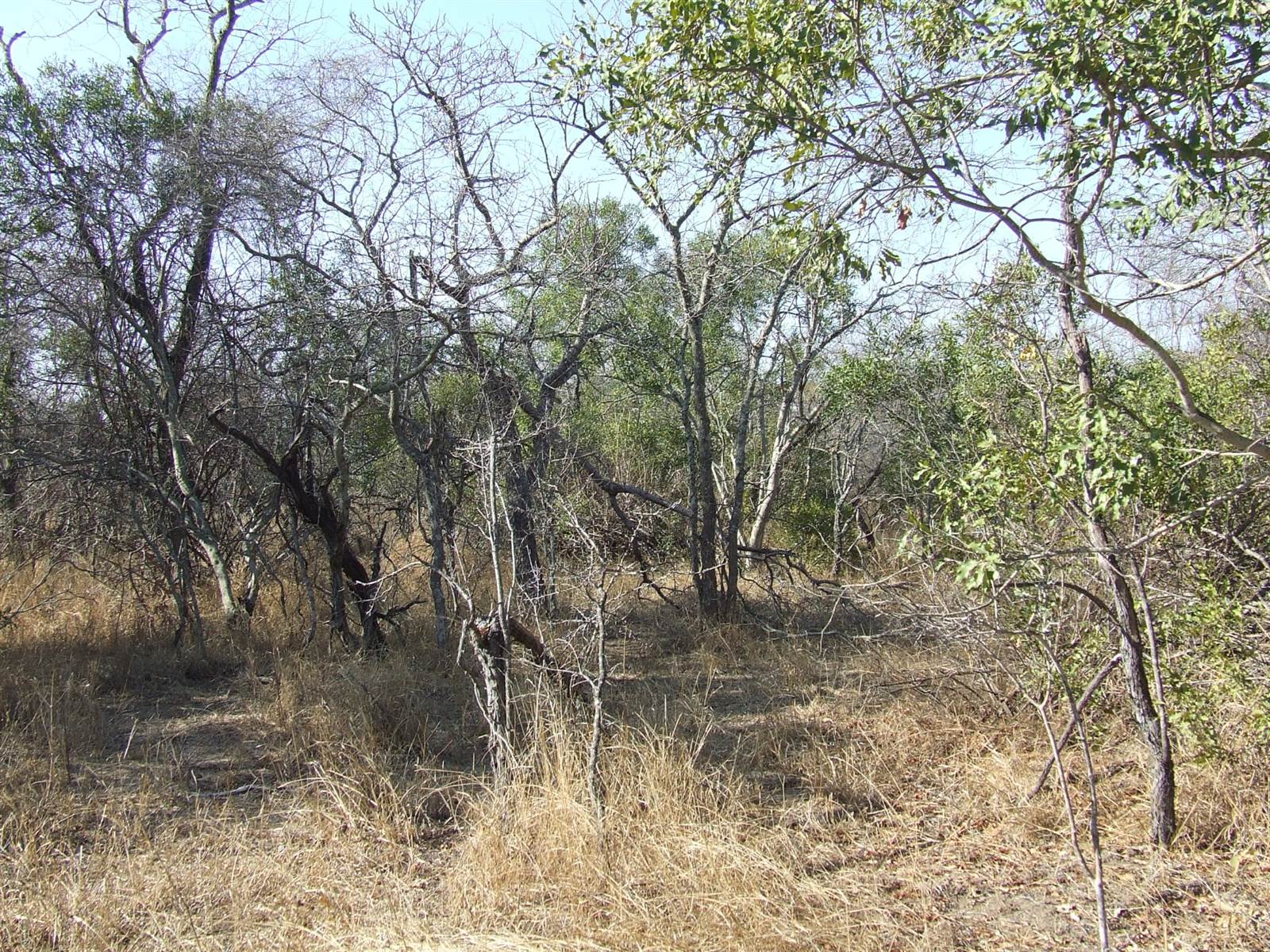 9621 m² Land available in Moditlo Nature Reserve photo number 16