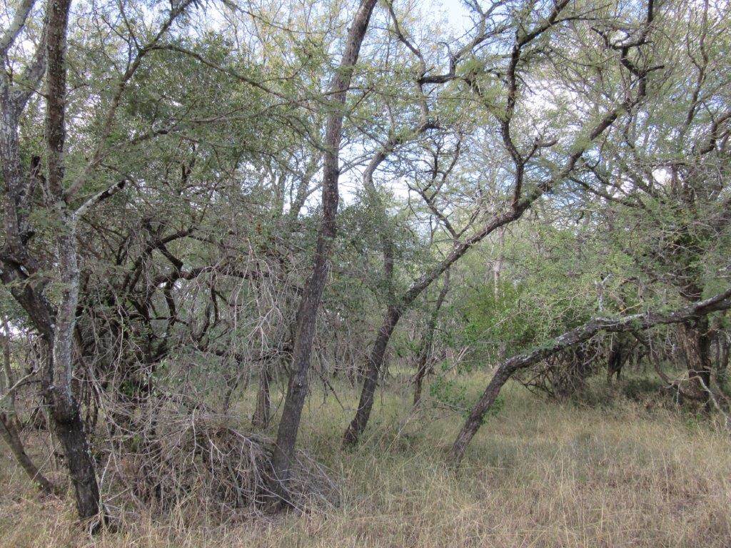 9621 m² Land available in Moditlo Nature Reserve photo number 8
