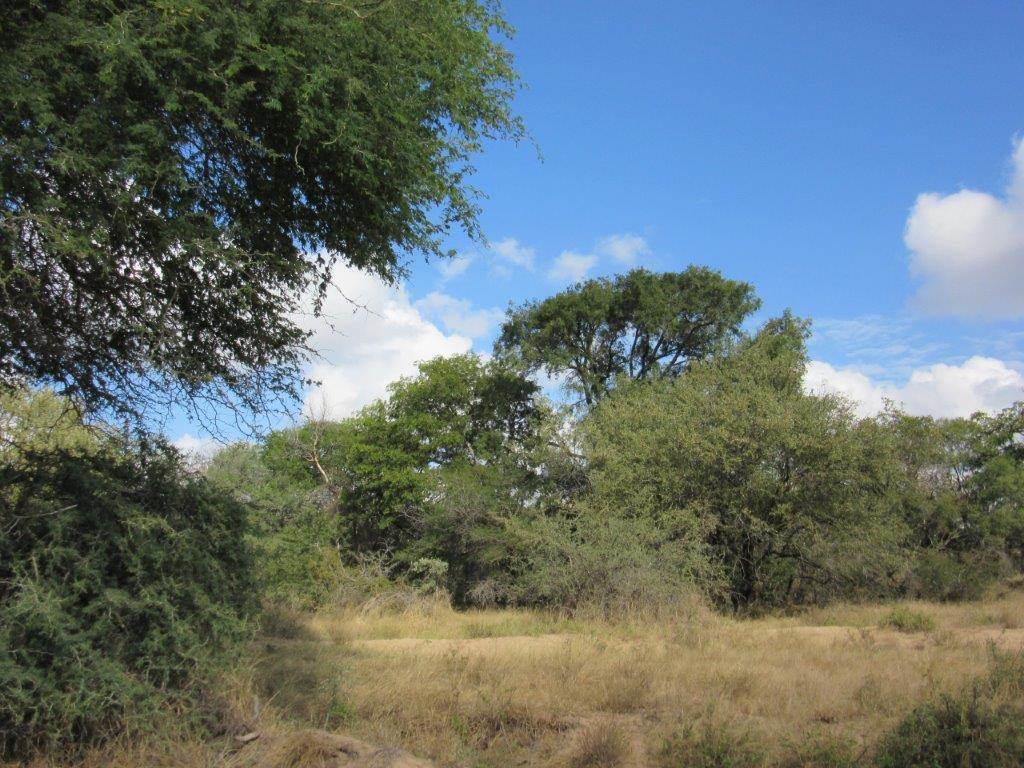 9621 m² Land available in Moditlo Nature Reserve photo number 11