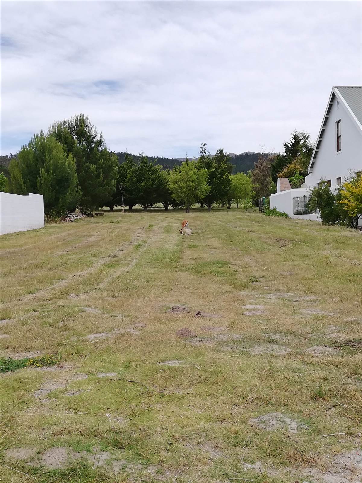 750 m² Land available in Villiersdorp photo number 1