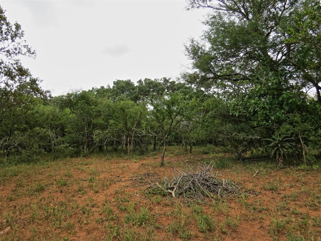 1580 m² Land available in Marloth Park photo number 2