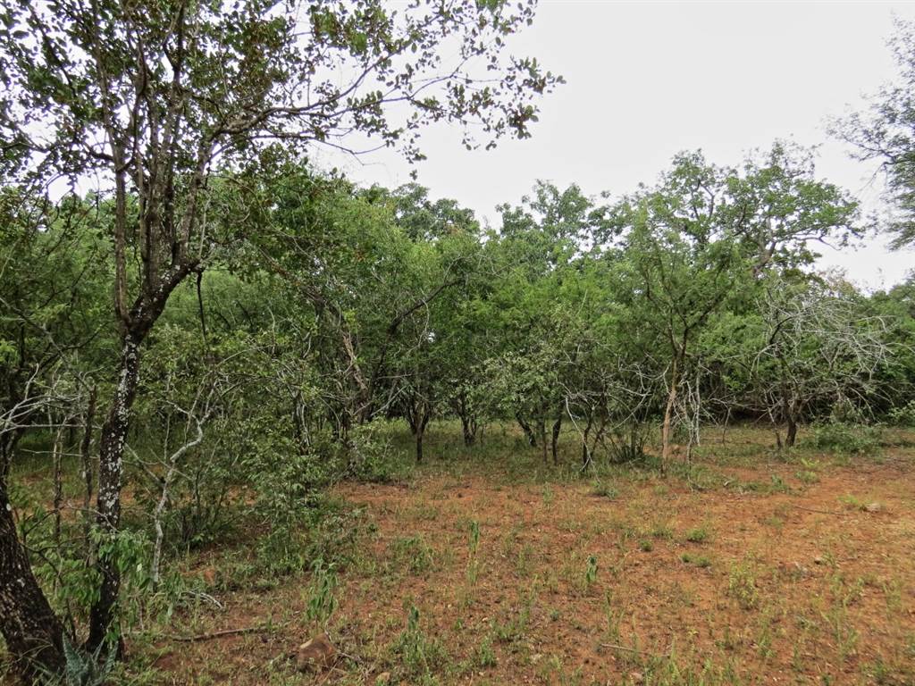 1580 m² Land available in Marloth Park photo number 8
