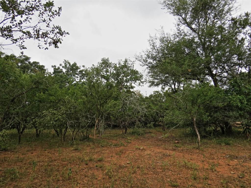 1580 m² Land available in Marloth Park photo number 7