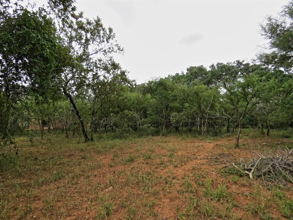 1580 m² Land available in Marloth Park photo number 1