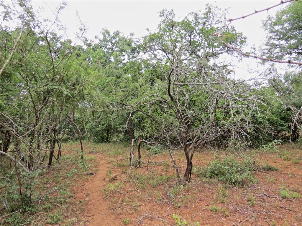 1580 m² Land available in Marloth Park photo number 3