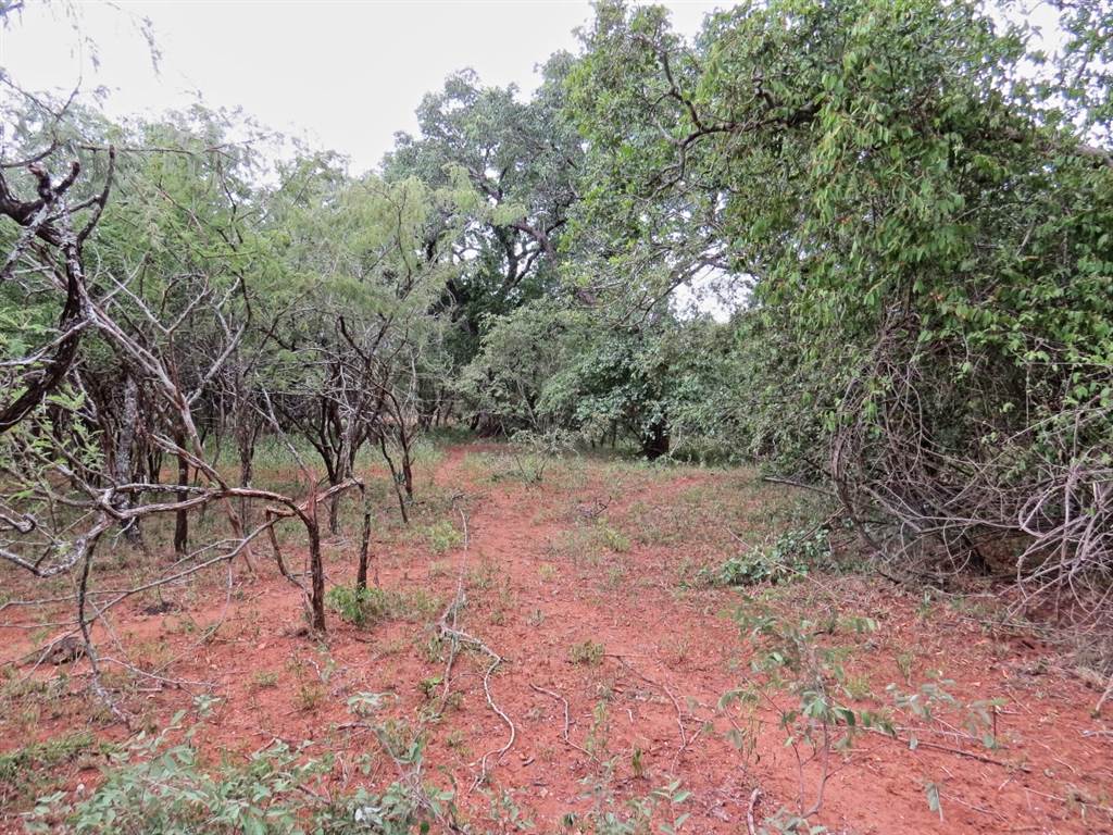 1580 m² Land available in Marloth Park photo number 4