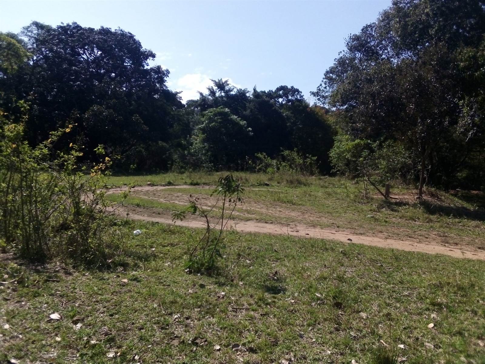20237 ha Land available in Amanzimtoti photo number 19
